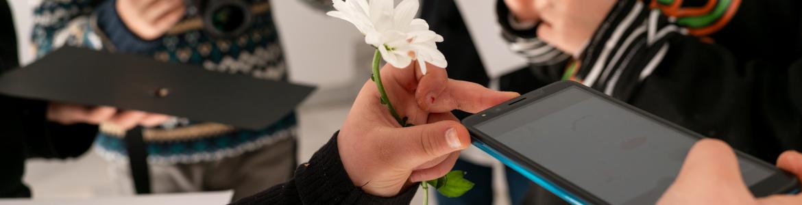 Varias manos adultas e infantiles haciendo fotografías con un móvil