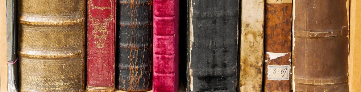 Libros antiguos en estantería