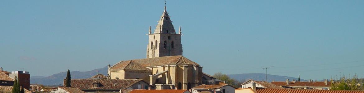 Torrelaguna
