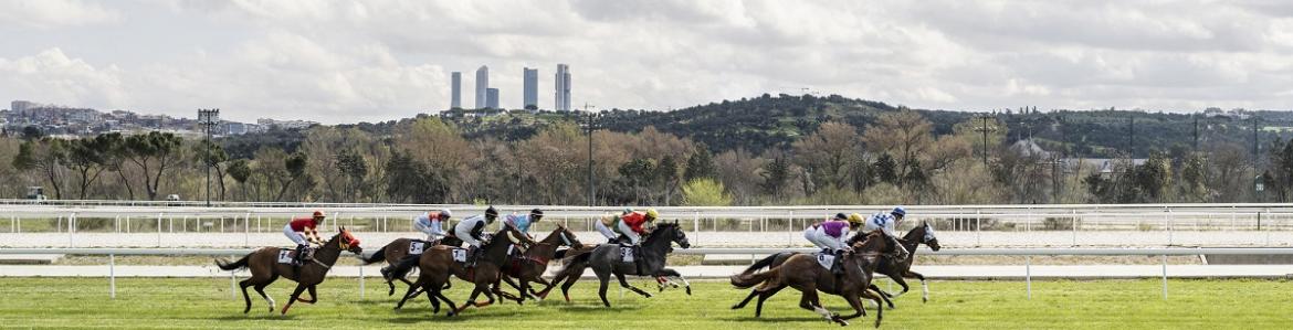 Carrera de caballos