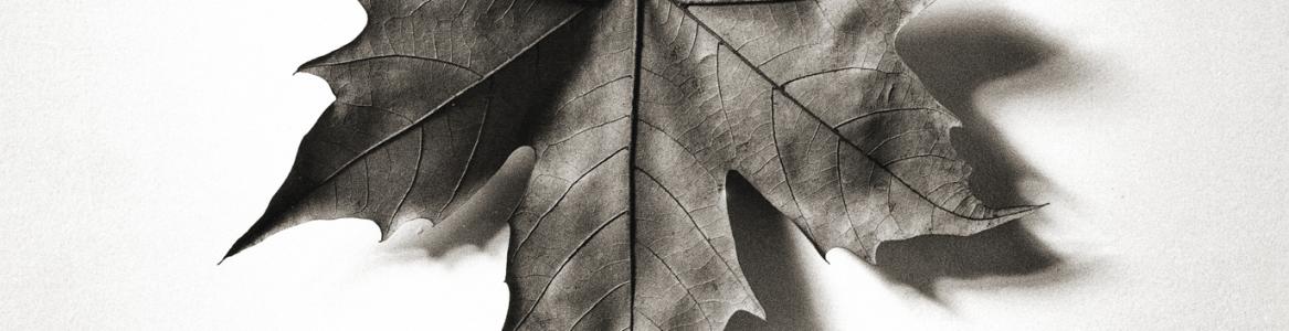 La segunda semana del Festival de Otoño de la Comunidad de Madrid trae la dramaturgia de Juan Mayorga, Sasha Waltz o Ivo Van Hove Resumen de las actividades más destacadas de la agenda cultural del 17 al 19 de noviembre