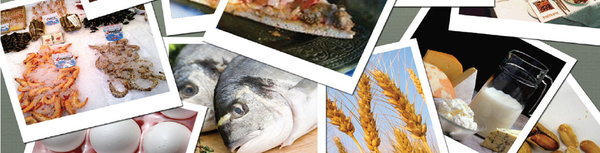 Alérgenos Portada sobre la publicación de alérgenos en alimentos envasados