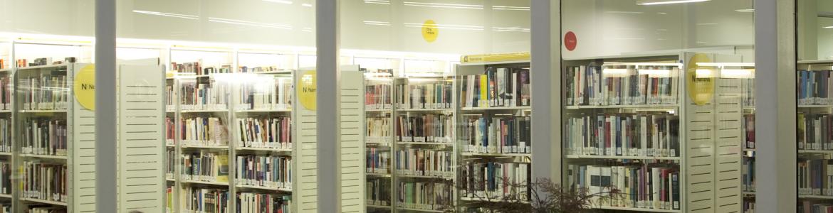 Biblioteca Luis Martín-Santos