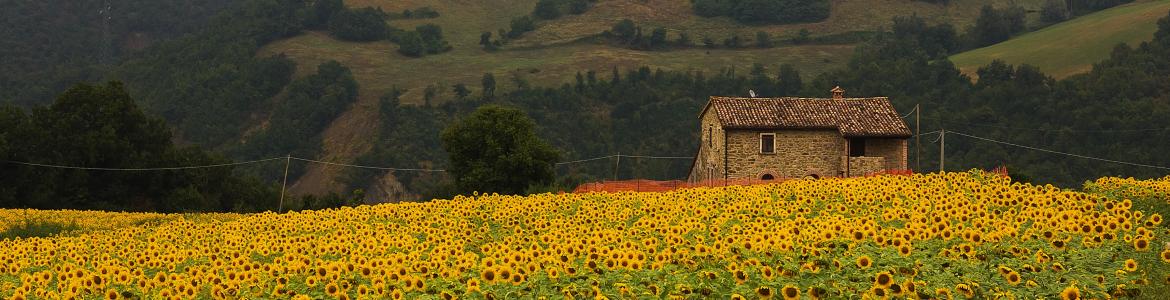 casas rurales consumo casas hoteles rurales