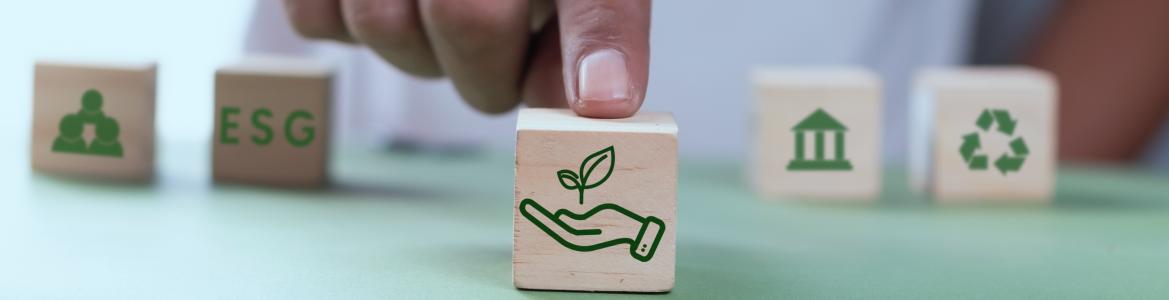 imagen eco postureo eco blanqueo