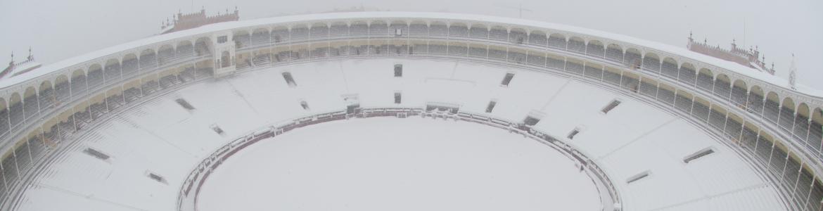 Nevada en Las Ventas