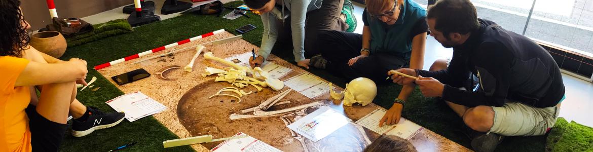 Taller Arqueolab