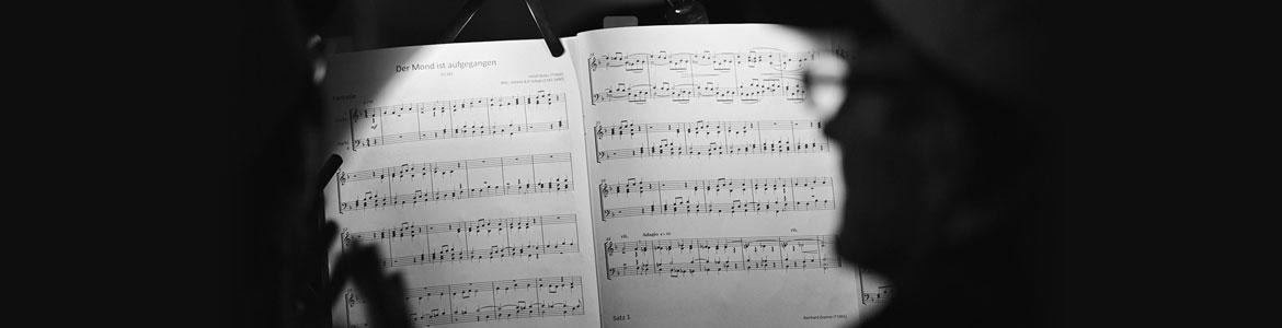 Foto de Concierto Bajo mi voz