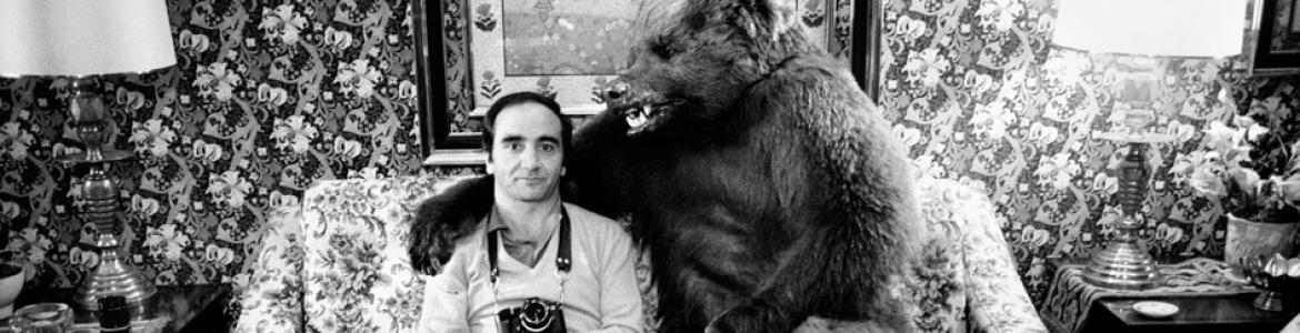 Hombre con cámara fotográfica acompañado de un oso
