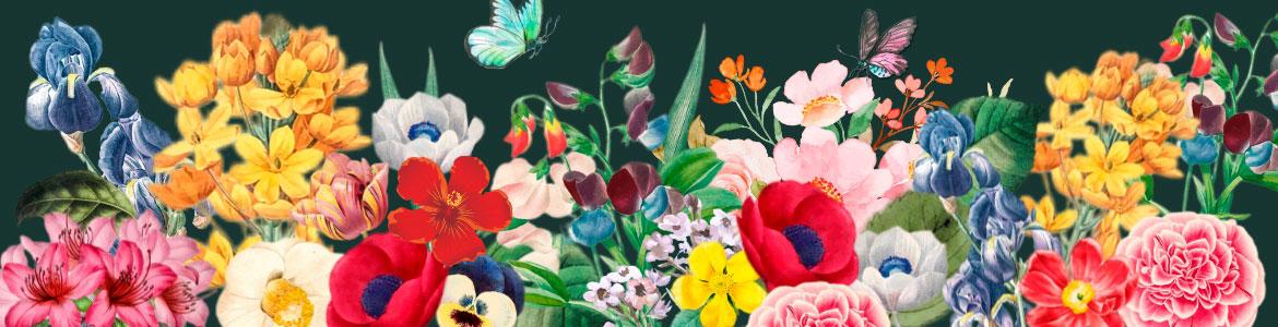 Latidos de ida y vuelta. Latidos musicales. Mesa redonda de literatura Foto de Latidos de ida y vuelta