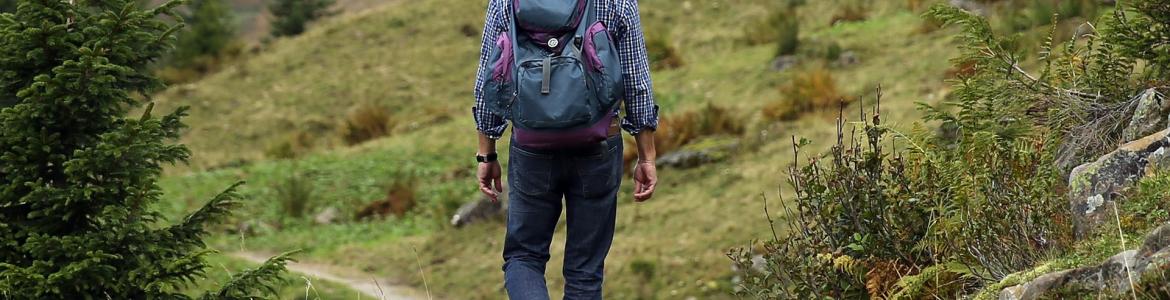 HOMBRE PASEANDO CAMPO