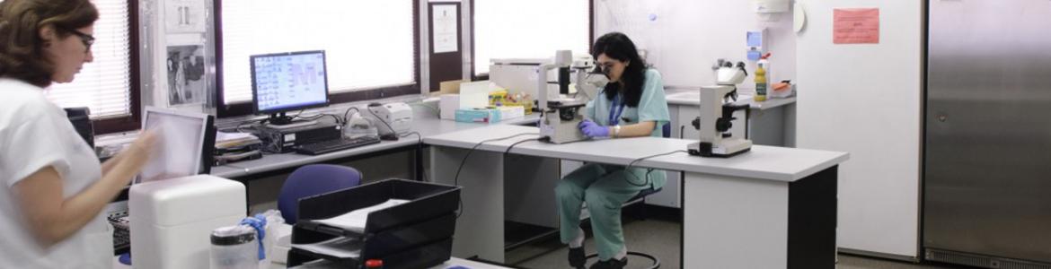 Profesionales del Biobanco del Instituto de Investigación Sanitaria del Hospital de Getafe