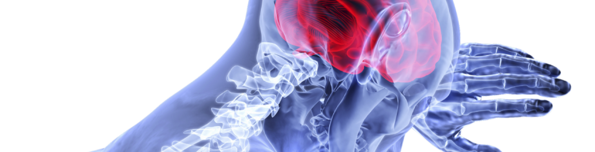 Esclerosis lateral amiotrófica El cerebro en la ELA