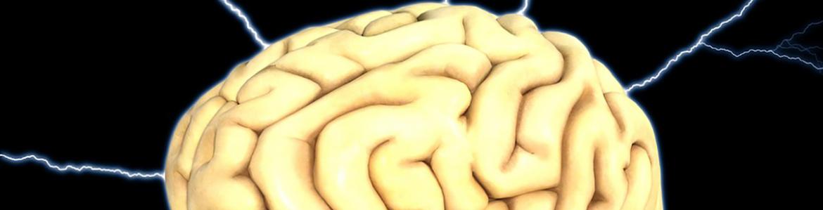 IMAGEN CEREBRO PIXABAY