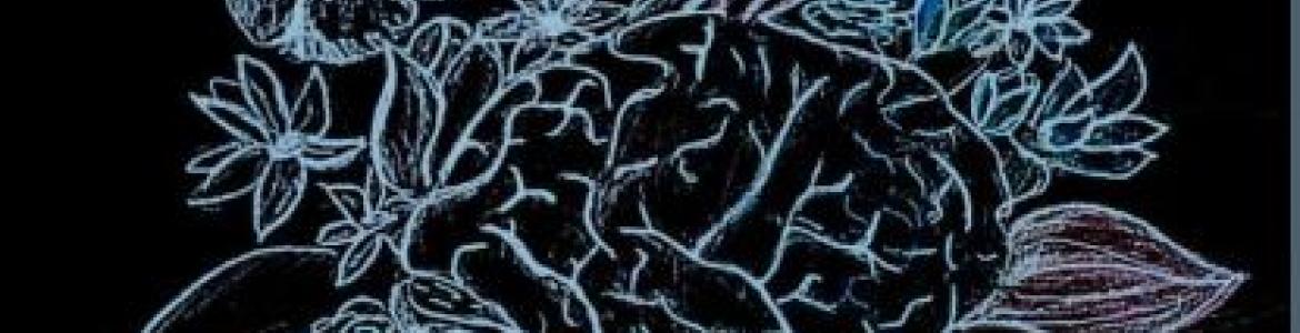 imagen de un cerebro