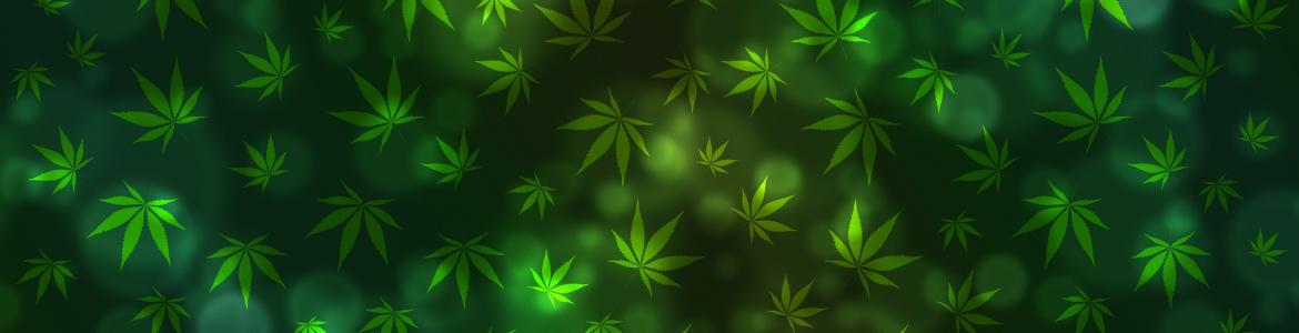 Riesgos asociados al consumo de cannabis Riesgos asociados al consumo de cannabis