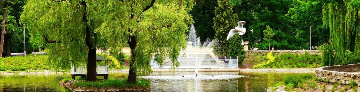 parque urbano parque con fuente