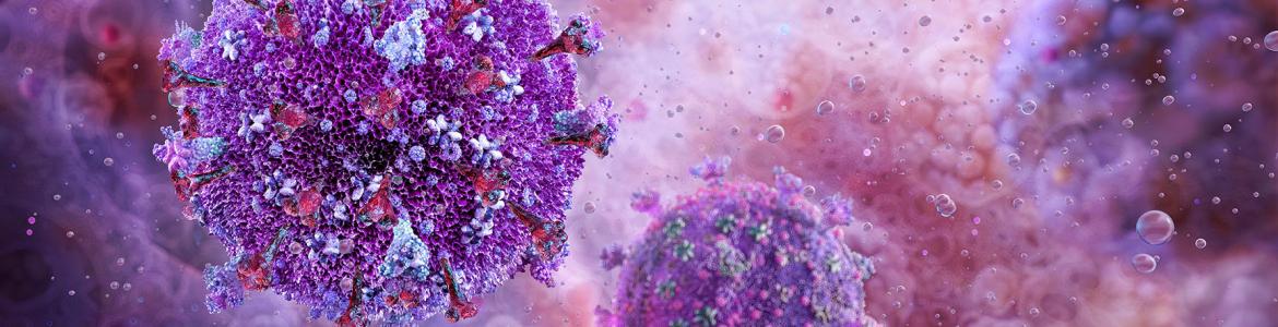Imagen de VIH Virus de la inmunodeficiencia humana
