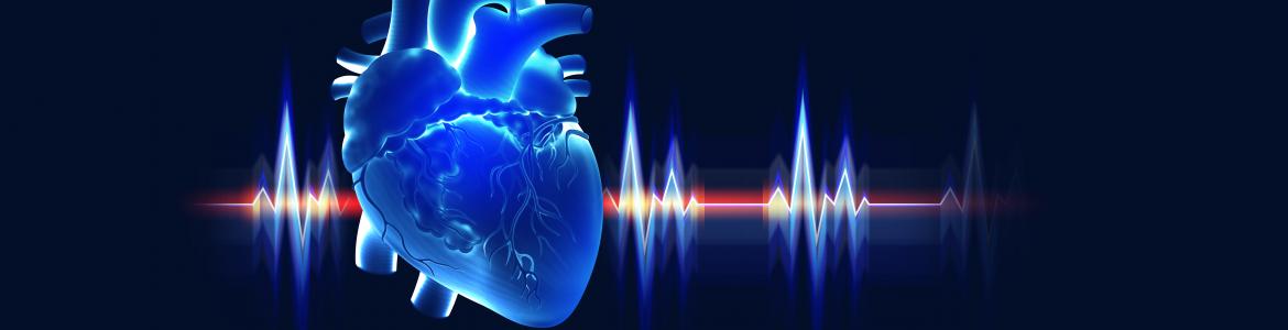 Imagen de cabecera #0 de la página de "IESP - Enfermedades cardiovasculares"
