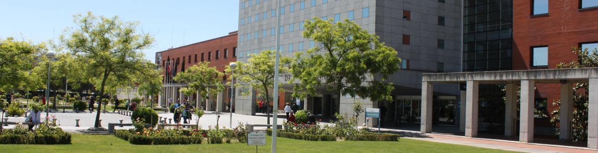 Hospital de Alcorcón