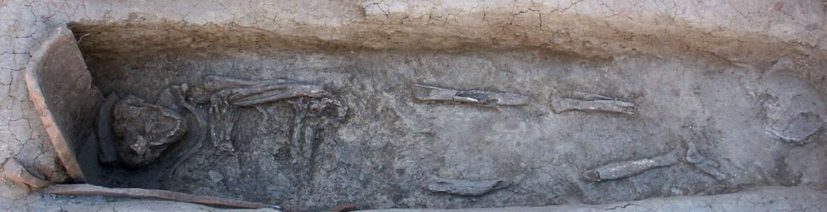 Imagen de Inhumación en La Necrópolis Tardorromana de Móstoles