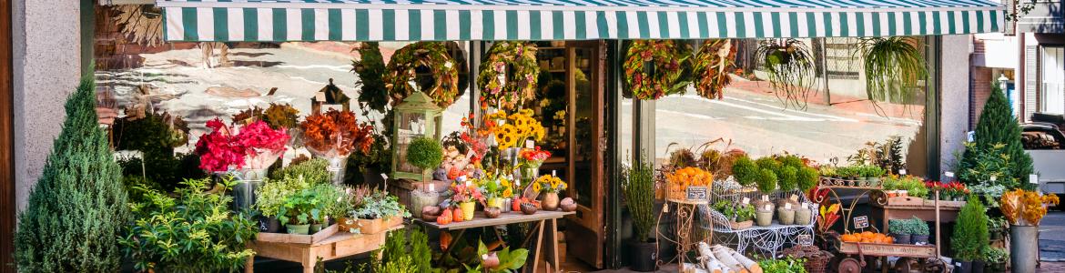 floristeria flores