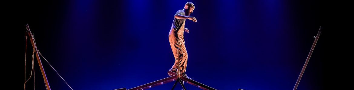 Llar FEDERICO MENINI Llar - FEDERICO MENINI