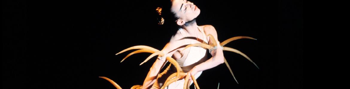 Madrid Danza