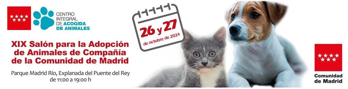 Banner salon adopcion 2024