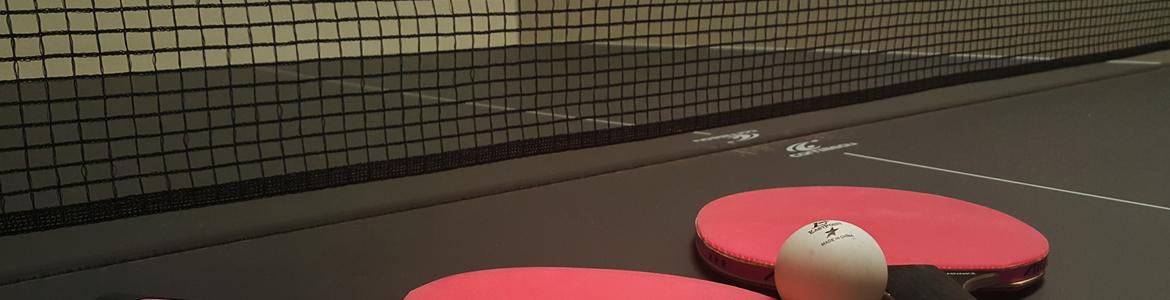 TENIS DE MESA TENIS DE MESA