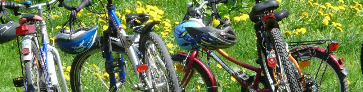 Bicicletas y cascos aparcadas en un parque