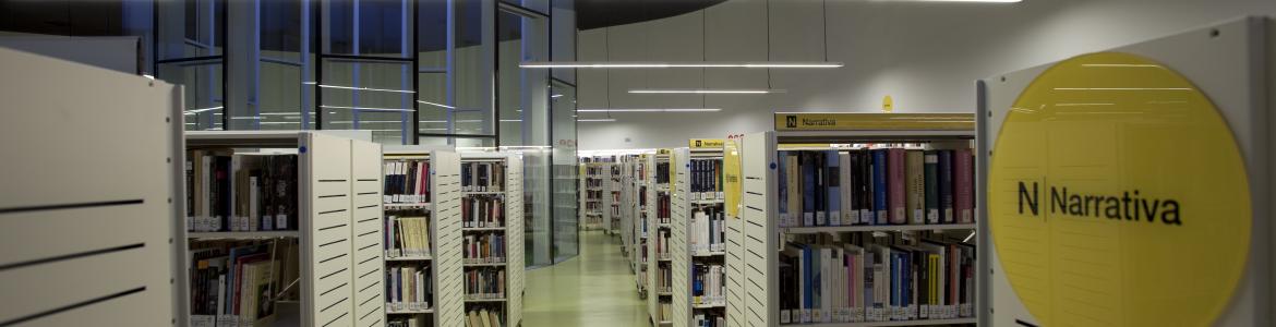 Biblioteca Luis Martín Santos (Villa de Vallecas)