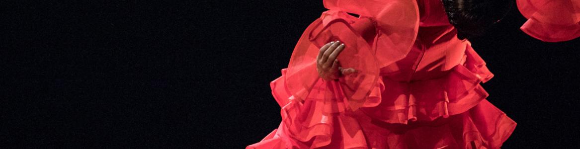 Lucía Campillo Festival Suma Flamenca