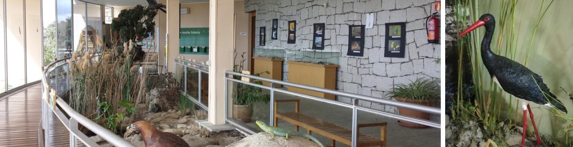 Exposición "Día y noche en la Sierra Oeste" en el Centro de educación ambiental El Águila Exposición "Día y noche en la Sierra Oeste" en el Centro de educación ambiental El Águila