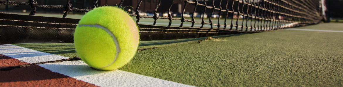 ESCUELA DE TENIS