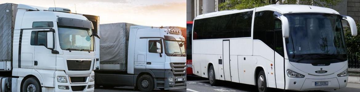 camión y autobús