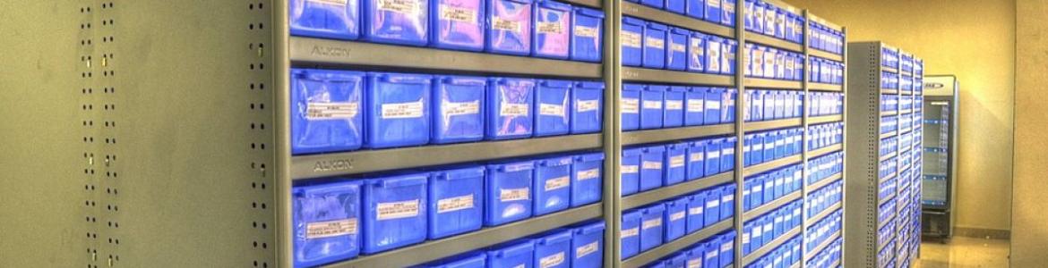 Establecimientos y servicios farmacéuticos Establecimientos y servicios farmacéuticos