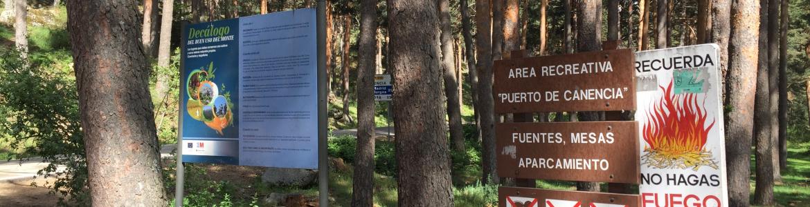 Área recreativa del Puerto de Canencia