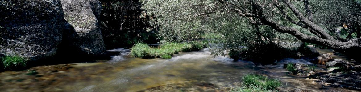 Río Manzanares en La Pedriza Río Manzanares en La Pedriza