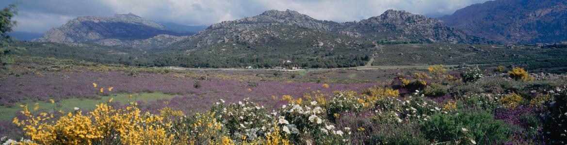 Parque Regional de la cuenca alta del Manzanares