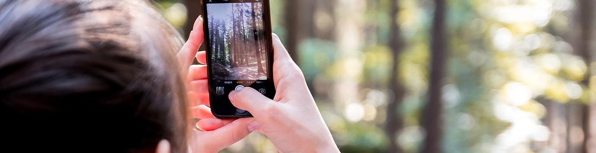 Foto árboles Foto móvil árboles