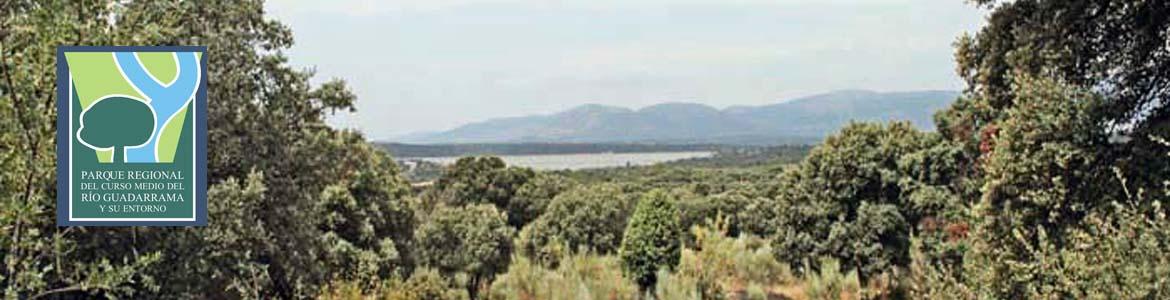 Vista de la senda de Colmenarejo a Valdemorillo Vista de la senda de Colmenarejo a Valdemorillo