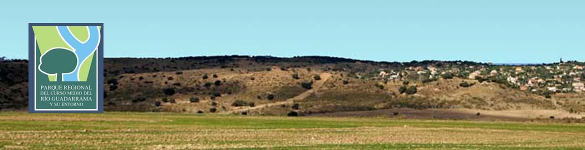 Paisaje de la senda de Valdemorillo a Villanueva de la Cañada