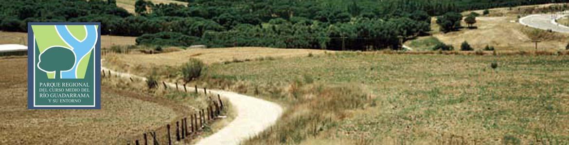 Paisaje de la Senda de Arroyomolinos a Móstoles y Loranca Paisaje de la Senda de Arroyomolinos a Móstoles y Loranca