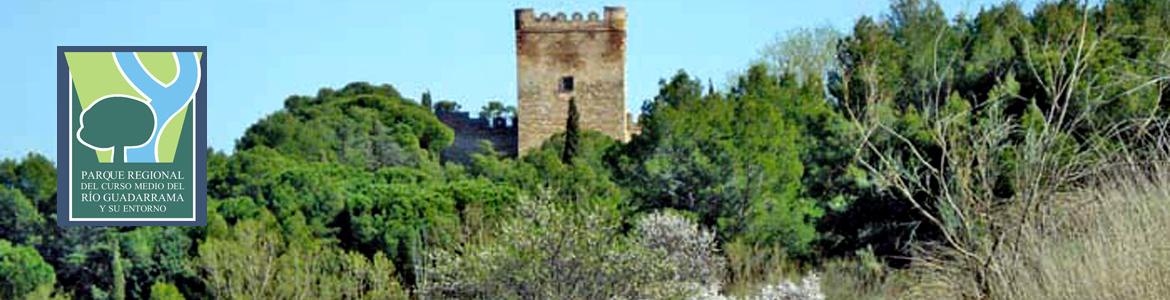 Castillo de Batres Castillo de Batres