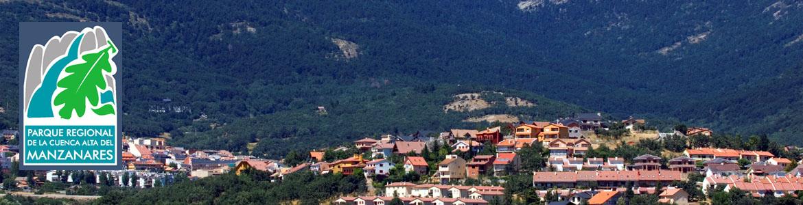 Senda "Alto de los Leones a Cercedilla" Senda "Alto de los Leones a Cercedilla"