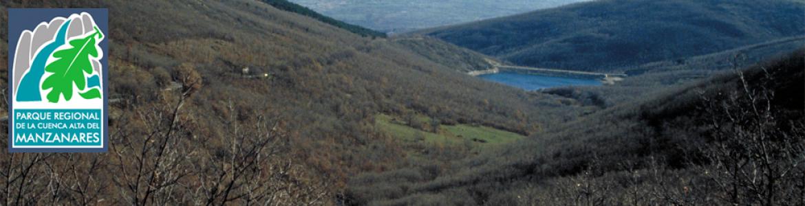 Senda del Puerto de la Morcuera a Alameda del Valle