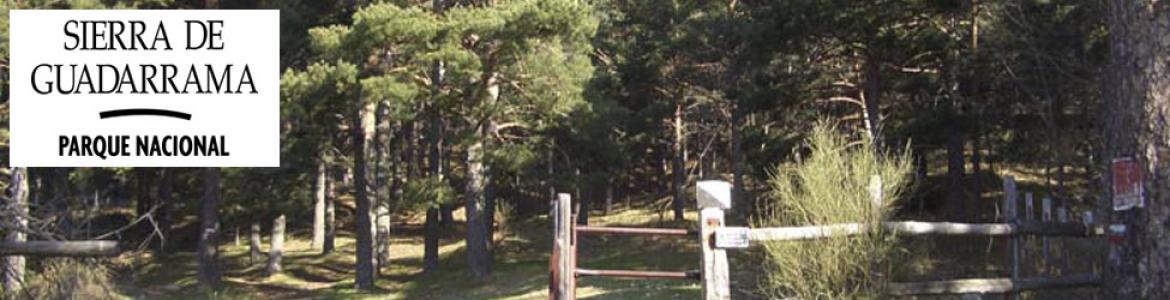 Senda Puerto de Navacerrada - Siete Picos - Cercedilla