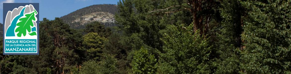 Senda Circular de Cercedilla