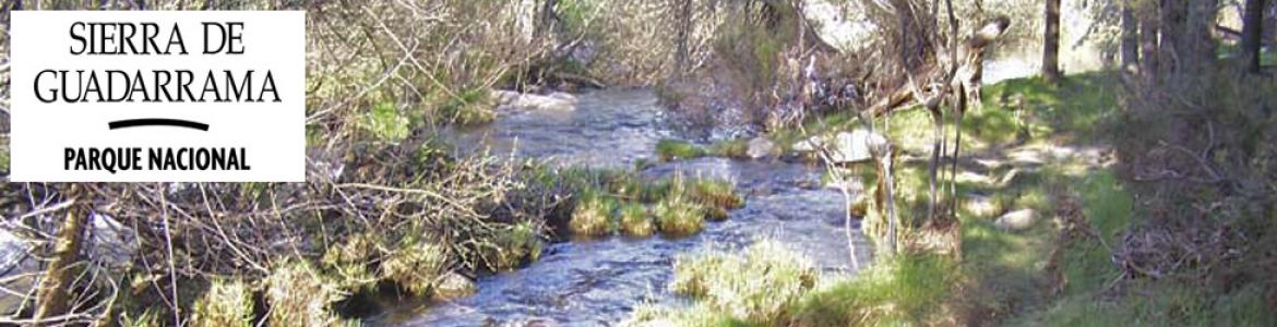 Senda circular de La Pedriza por la Sierra del Francés